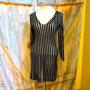 Nude and black Sequin vertical striped long sleeve dress
WYLDR